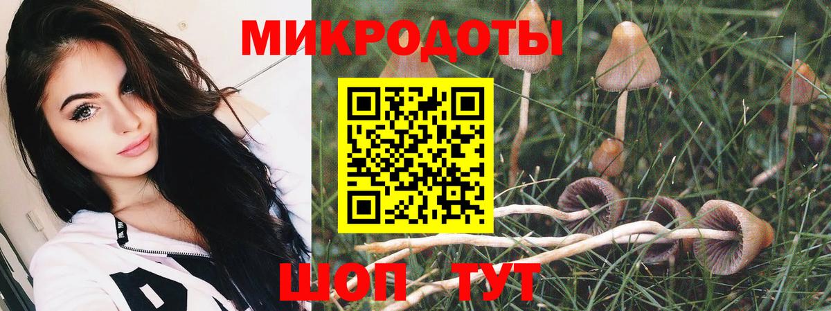 Касимов  Галлюциногенные грибы MAGIC MUSHROOMS  Вход с VPN 