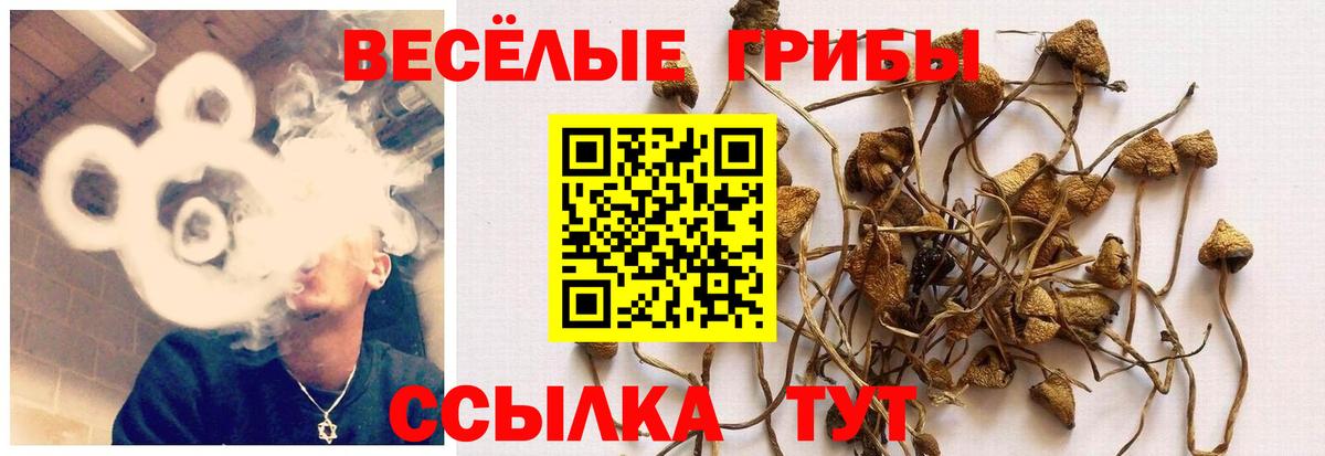 Псилоцибиновые грибы ЛСД Касимов